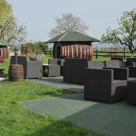 Klet Cinkus Bed & Breakfast Hrvatski Leskovac Ngoại thất bức ảnh
